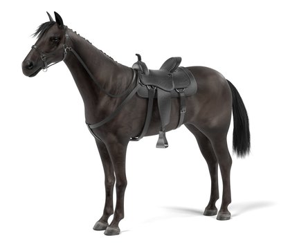 realistic 3d render of horse
