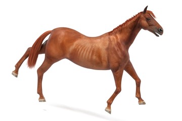 realistic 3d render of quarter horse