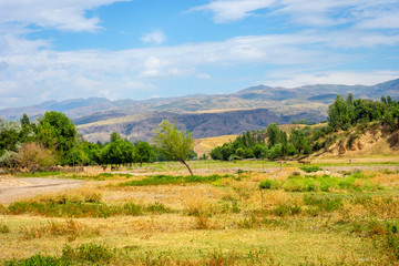 Fototapeta na wymiar Steppe and hills in rural Kazakhstan