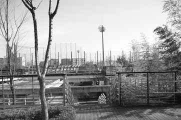 Fototapeta premium 자연