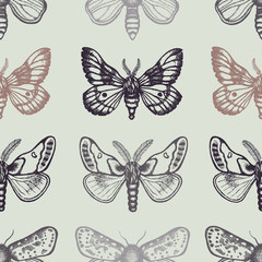 Fototapeta na wymiar Seamless pattern with moths. Hand drawn. Vector illustration.