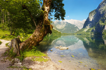 View of the lake of Obersee, Berchtesgaden National Park, Germany