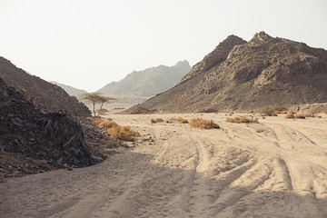 Mountain in desert