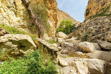 Fisheye view on Avakas Gorge with steep rocks and river on bottom. Akamas peninsula, Cyprus.
