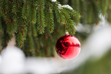 red christmas ball on fir tree branch with snow