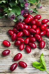 Ripe dogwood on a wooden background. Top view. Close-up