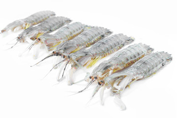 Fresh mantis shrimp seafood on the white background.