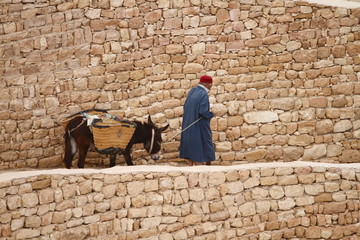 Man and donkey in hillside Berber village of Chenini, Tunisia