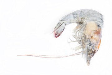 Seafood fresh shrimp on white background.