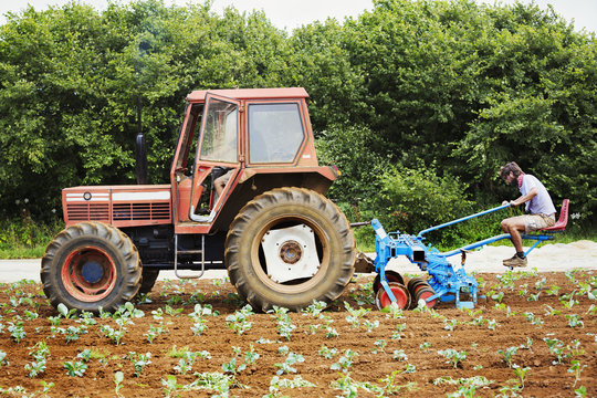 Two men driving a tractor pulling a cultivator weeding between rows of plants.