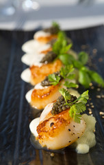 Delicious pan seared organic scallops, served with celery puree, caviar, parsley and white wine cream sauce. Presented professionally and shot with a shallow depth of field.