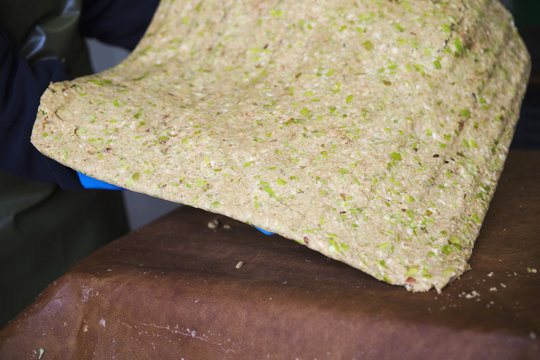 Compressed apples, a solid mass of apples, skins and cores, with all the juice extracted. - Powered by Adobe