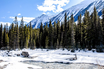 冬のカナディアン・ロッキー　クートニー国立公園の川と山並み