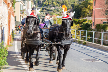 FINALE LIGURE, ITALY DECEMBER 9, 2016 - Black horses with carriage with funny Christmas hats