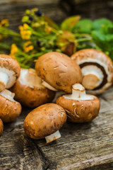 Royal champignons on a wooden background. Selective focus. Close-up