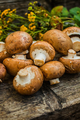 Royal champignons on a wooden background. Selective focus. Close-up