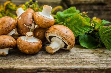 Royal champignons on a wooden background. Selective focus. Close-up