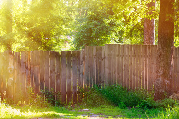 wooden fence in the summer Park and sun rays