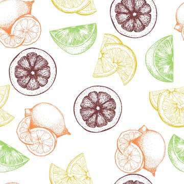 VEctor seamless pattern of citrus fruits. Orange, lemon, lime and bloody orange slice. white background. Hand drawn