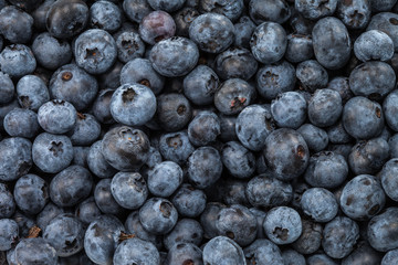 Blueberries