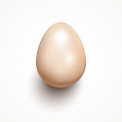 Glossy realistic egg isolated on white