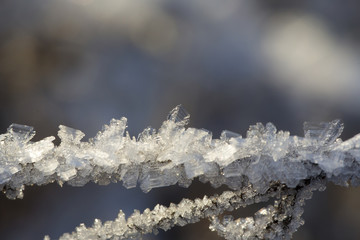 Frosty nature through a macro lens. Tiny and detailed beautiful things.