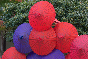 Japanese Umbrella and temple. 