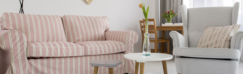 Interior with sofa and armchair