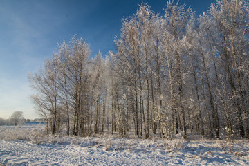 A beautiful winter landscape in nordic Europe