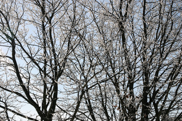 A beautiful winter landscape in nordic Europe