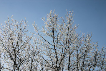 A beautiful winter landscape in nordic Europe