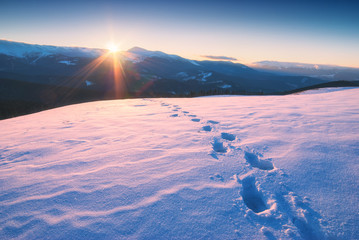 The track of footprints on a fresh snow