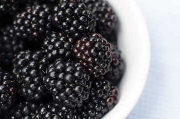 Bowl of Blackberries