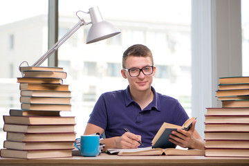 Young student preparing for school exams