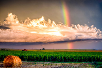 Calm Before the Storm