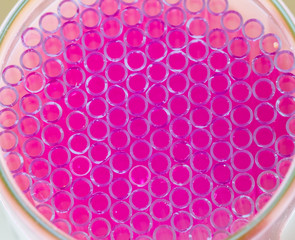 Close up abstract capillary tube design for background,selective focus