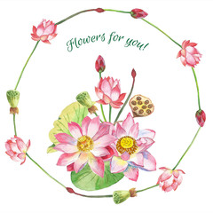 Lotus Flowers. Hand drawn illustration