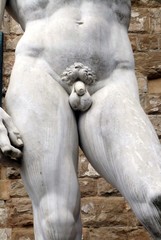 Fototapeta na wymiar particolare di David, statua di Michelangelo in Piazza della Signoria a Firenze in Italia