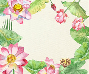 Lotus Flowers. Hand drawn illustration