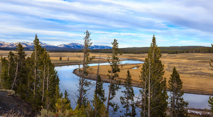 Wildlife of Yellow Stone, Montana © Gaukhar
