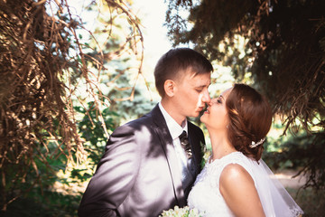 portrait of a couple bride and groom on  park background