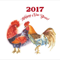 Watercolor Rooster. Hand drawn illustration