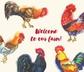 Watercolor Rooster. Hand drawn illustration
