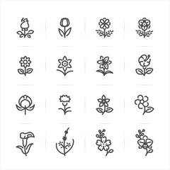 Flower icons with White Background 