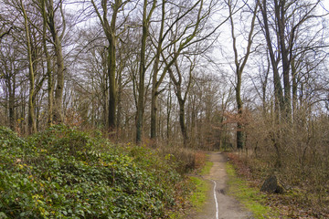 Herbst in Pellens-Park
