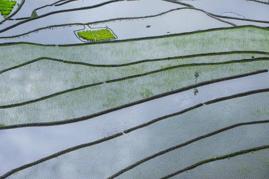 The rice terraces of Banaue, Northern Luzon, Philippines