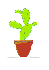 cactus plant flower pot