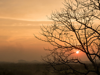 Fototapeta na wymiar silhouette landscape tree and sun on mountain background