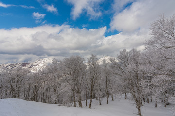Fototapeta na wymiar Snowy Mountains landscape against clear sky,Japan