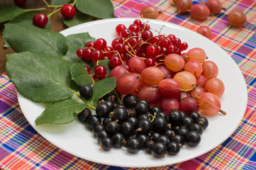 Gooseberries and currants on a wooden background. Top view. Close-up